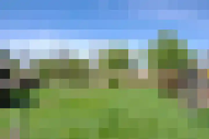 Stadsweg 29 Wirdum thumbnail 21