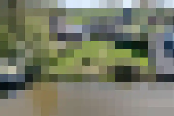 Stadsweg 29 Wirdum thumbnail 22