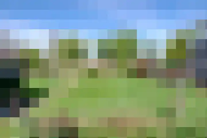 Stadsweg 29 Wirdum thumbnail 5