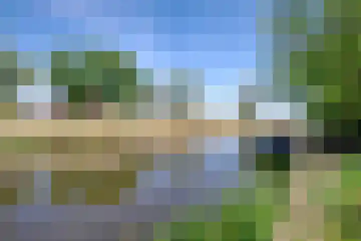 Stadsweg 29 Wirdum thumbnail 6