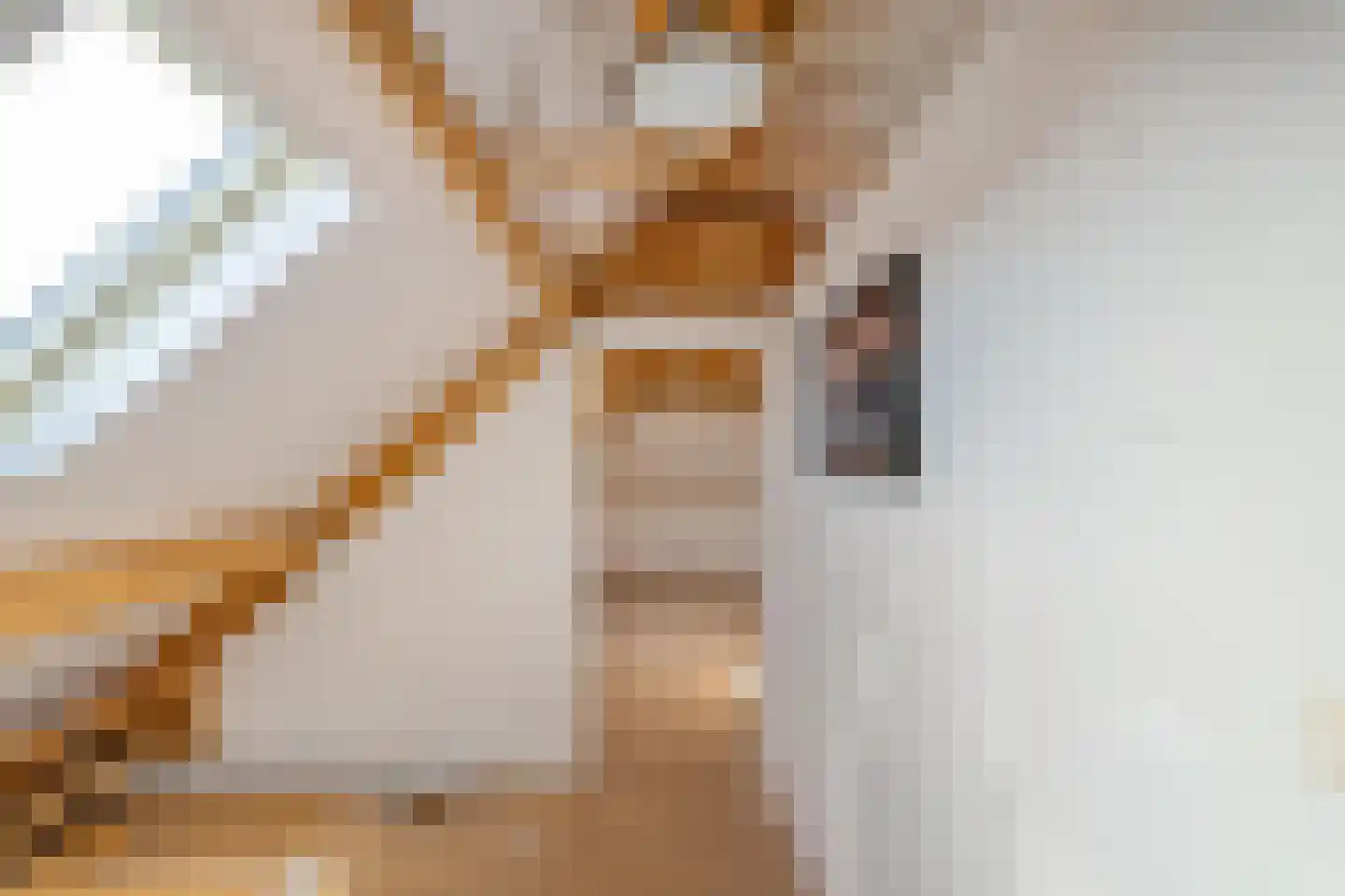 Stadsweg 74 Ten Post thumbnail 33