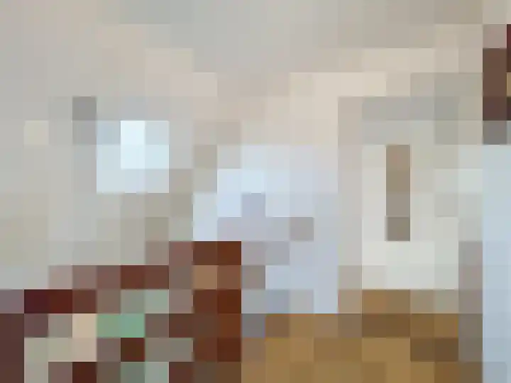 Stadsweide 12 Biervliet thumbnail 10