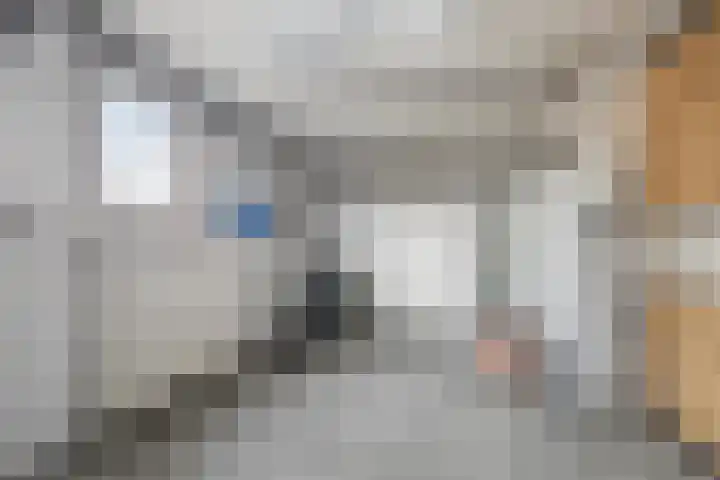 Stadsweide 12 Biervliet thumbnail 18