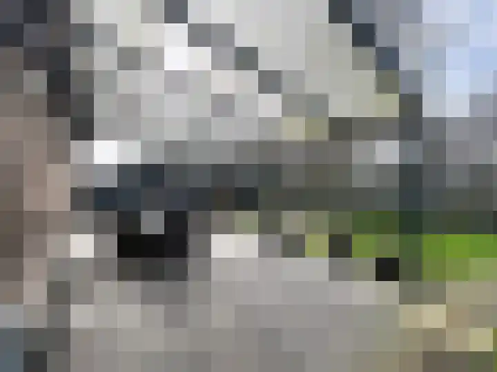 Stadsweide 12 Biervliet thumbnail 21