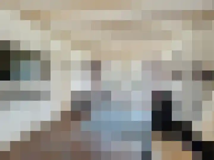 Stadsweide 12 Biervliet thumbnail 5