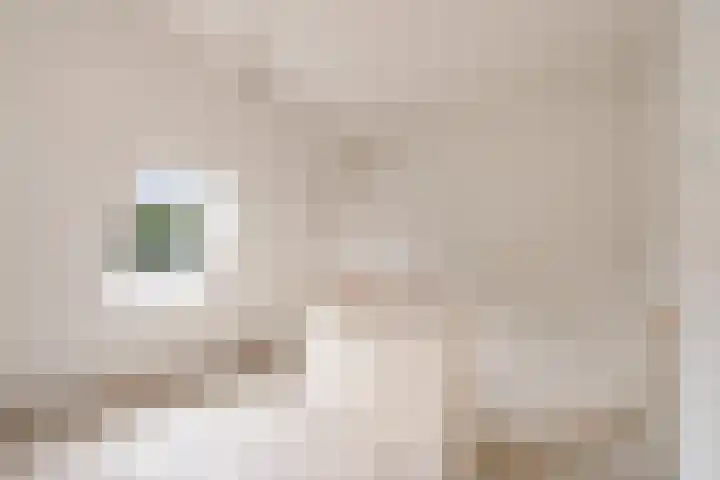 Stadswerf 22 Almere thumbnail 15