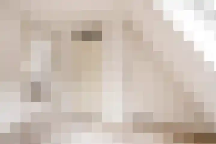 Stadswerf 22 Almere thumbnail 17