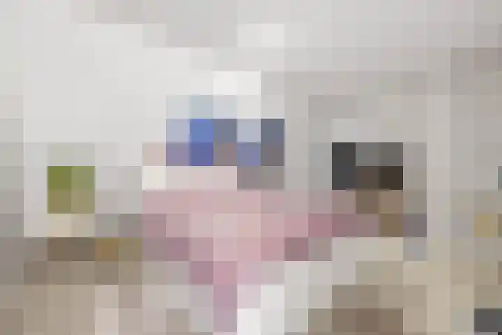 Stadswerf 86 Almere thumbnail 27