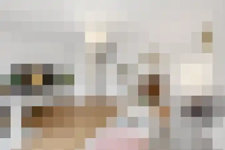 Stadswerf 86 Almere thumbnail 7