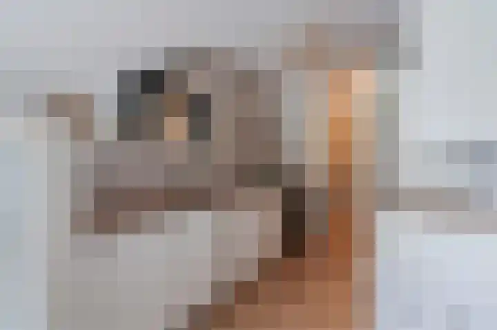 Stadzicht 21 Leiden thumbnail 17