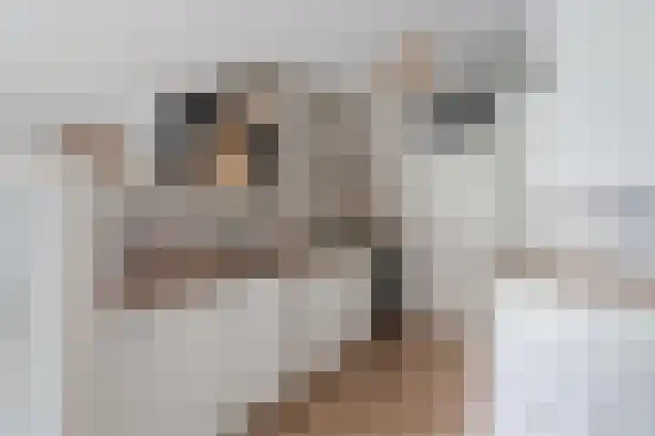 Stadzicht 21 Leiden thumbnail 18