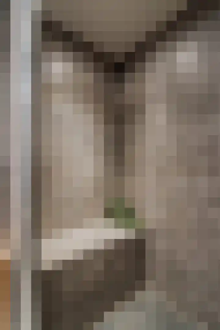 Stadzicht 21 Leiden thumbnail 39