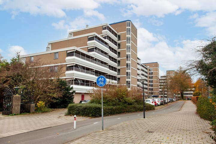 Stadzicht 61 in Leiden foto