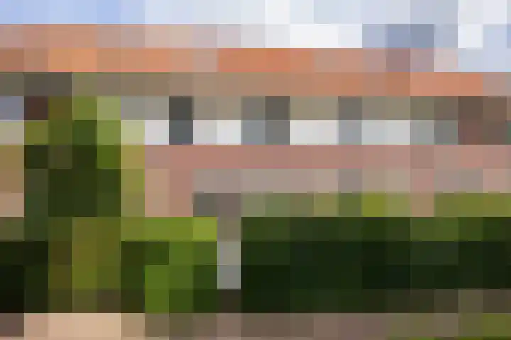 Stakenberg 28 Ede