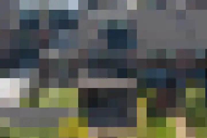 Stal 311 Drachten thumbnail 29