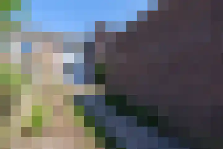 Stal 311 Drachten thumbnail 5