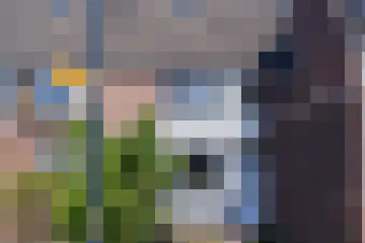 Stal 311 Drachten thumbnail 7