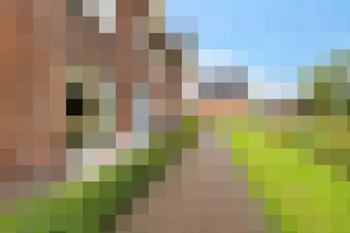 Stalhof 7 Dronten thumbnail 10