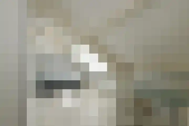 Stalhof 7 Dronten thumbnail 11