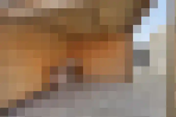 Stalhof 7 Dronten thumbnail 33