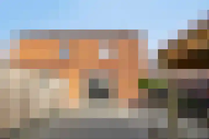 Stalhof 7 Dronten thumbnail 35