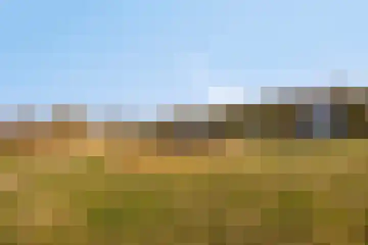 Stalhof 7 Dronten thumbnail 40