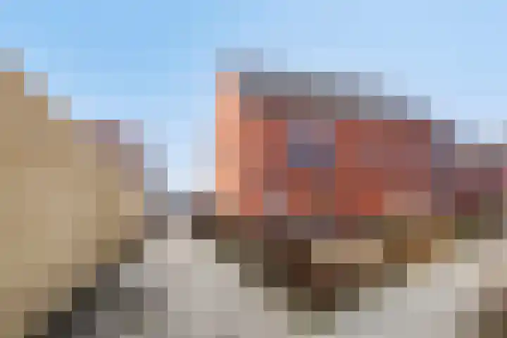 Stalhof 7 Dronten thumbnail 5
