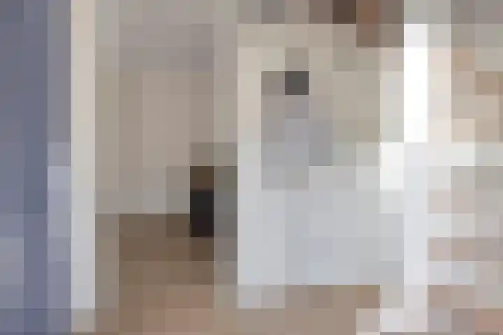 Stalhof 7 Dronten thumbnail 8