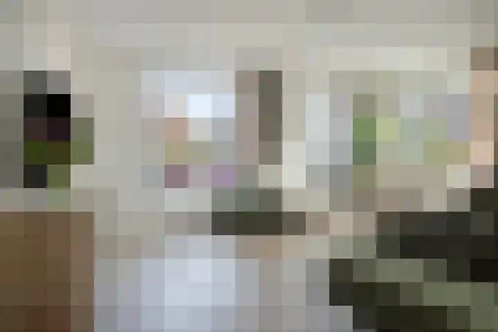 Stalhof 7 Dronten thumbnail 9