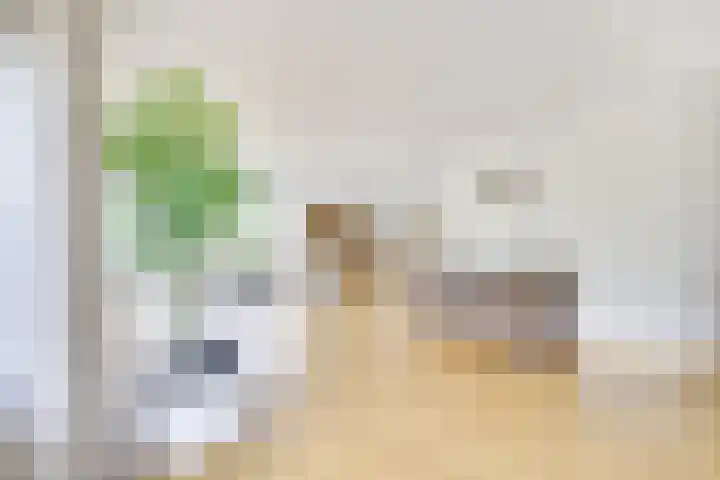 Stalhouderij 15 Zeist thumbnail 10