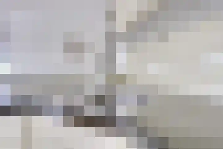 Stalhouderij 15 Zeist thumbnail 15