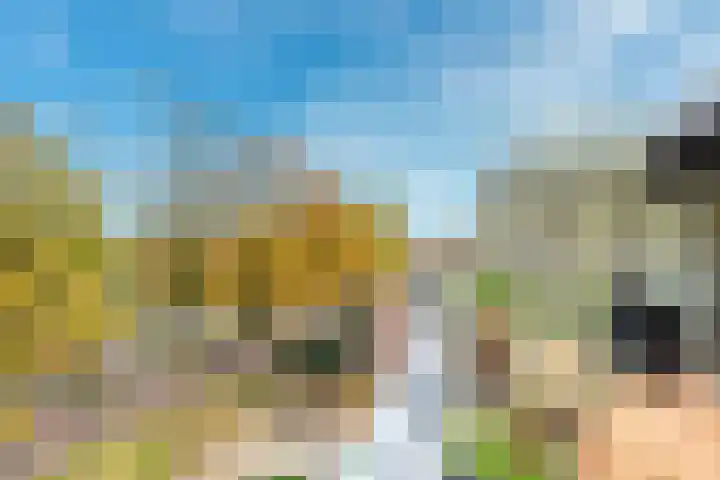 Stalhouderij 15 Zeist thumbnail 20