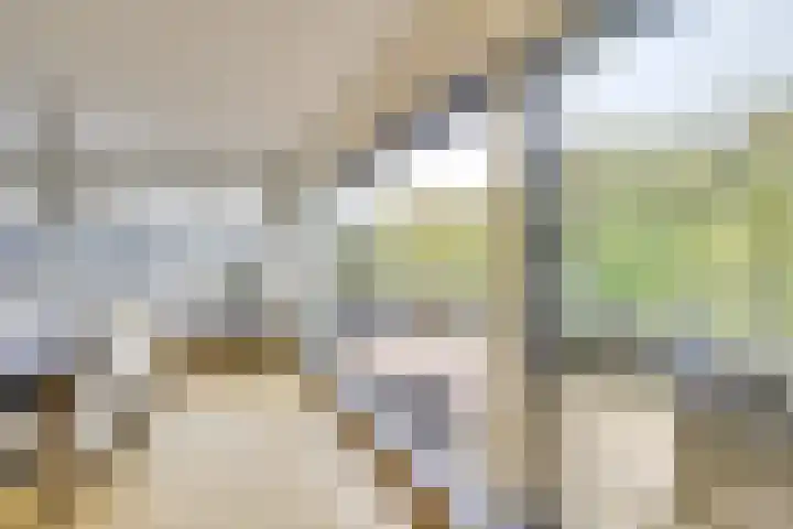 Stalhouderij 15 Zeist thumbnail 27