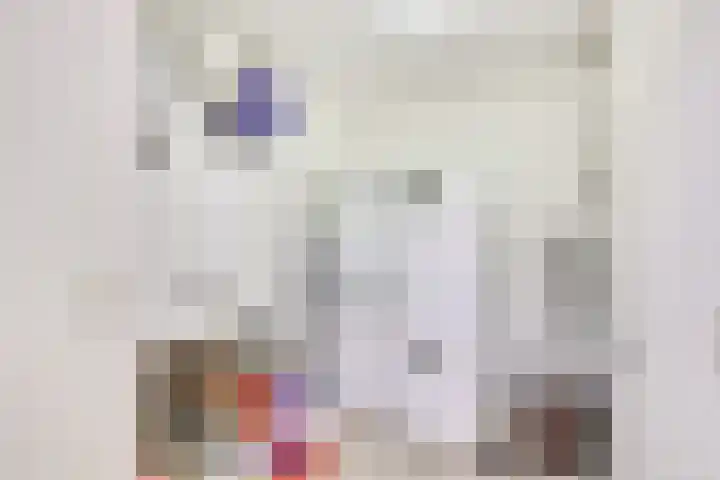 Stalhouderij 15 Zeist thumbnail 40