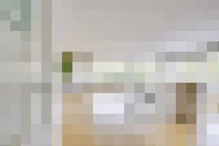 Stalhouderij 15 Zeist thumbnail 5