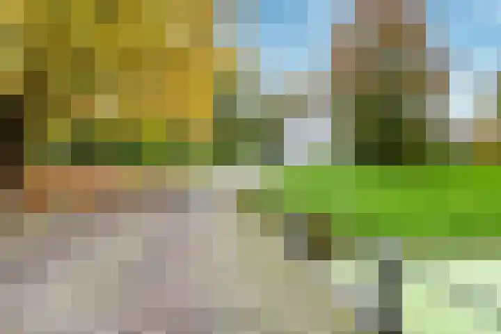 Stalhouderij 15 Zeist thumbnail 60