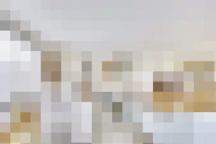 Stalhouderij 15 Zeist thumbnail 8