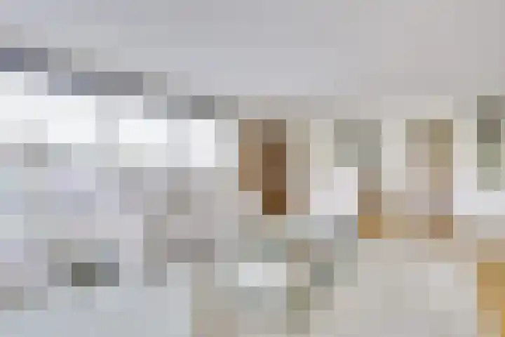 Stalhouderij 15 Zeist thumbnail 9