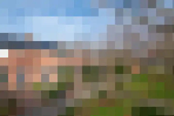 Stalkaarsen 10 Gorinchem thumbnail 4