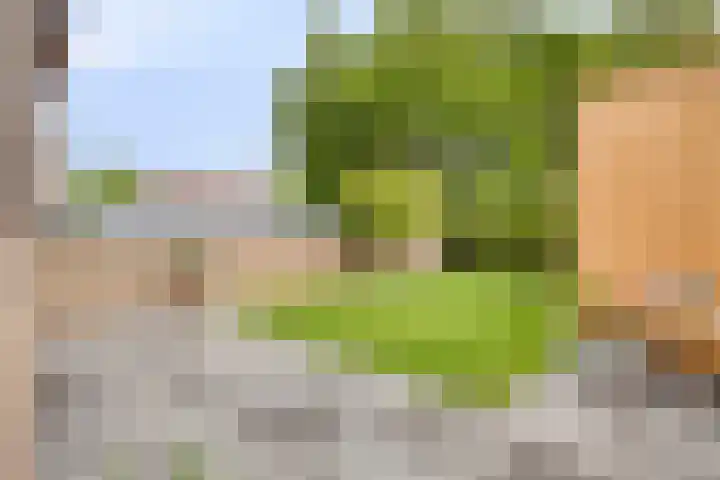 Stallestraat 13 Mheer thumbnail 19