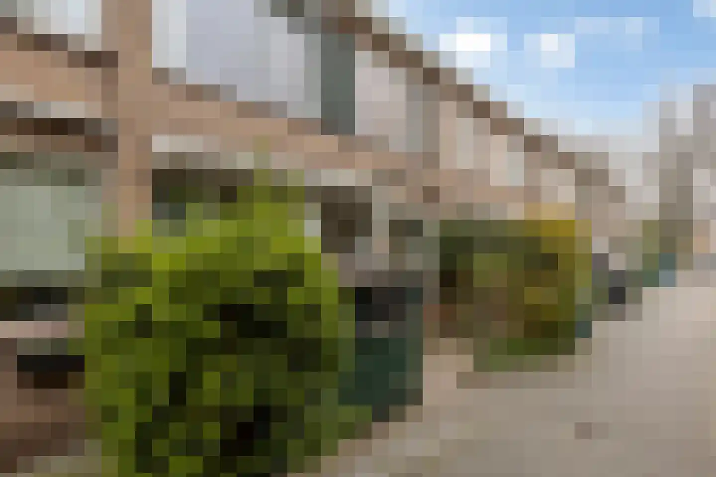 Stalpaertstraat 80 Alkmaar thumbnail 41