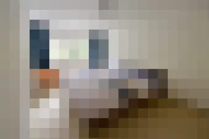 Stam 23 Huizen thumbnail 11