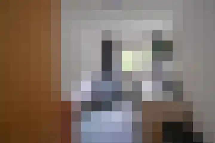 Stam 23 Huizen thumbnail 13