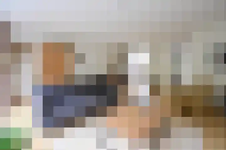 Stam 23 Huizen thumbnail 9