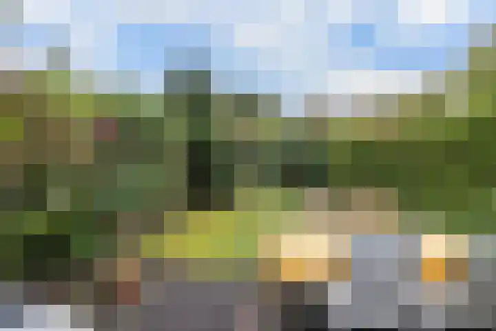 Stam 81 Huizen thumbnail 23