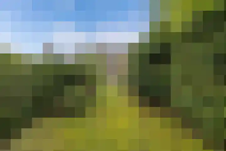 Stam 81 Huizen thumbnail 25