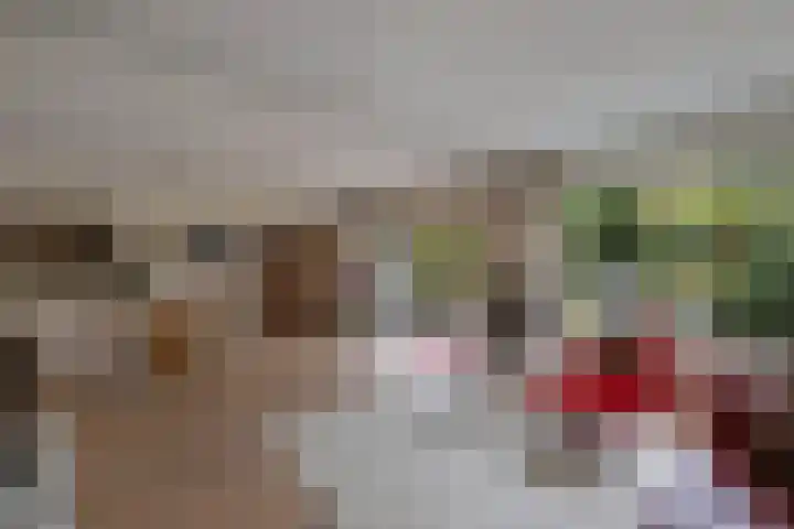 Stam 81 Huizen thumbnail 5