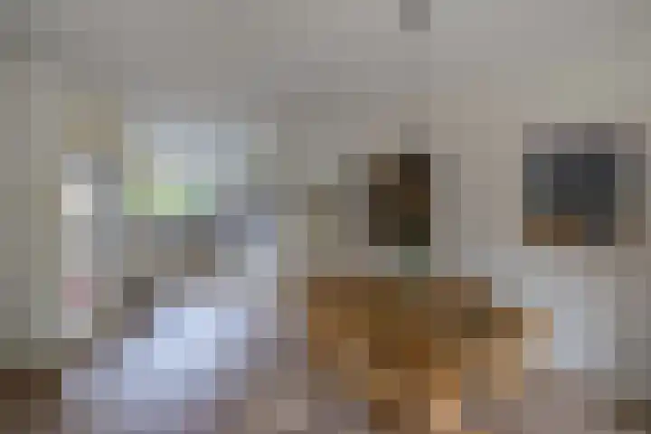 Stam 81 Huizen thumbnail 8