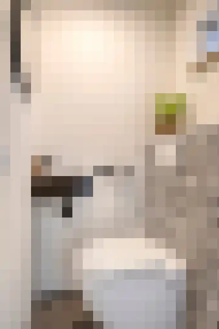 Stan Laurelstraat 22 Almere thumbnail 17