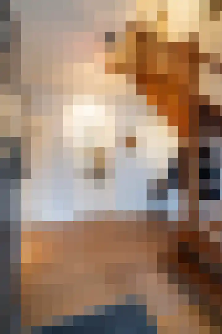 Standaardmolen 19 Weert thumbnail 11